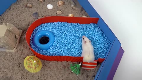 Pool maze for hamster# rainbow poll pyramid