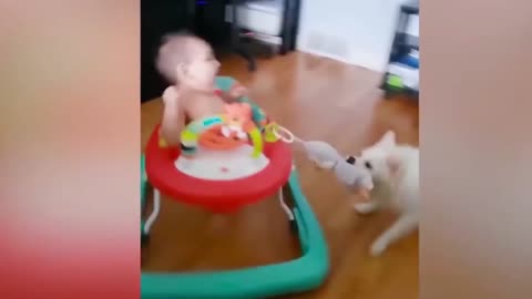 Dogs are the best friend of Babies 24