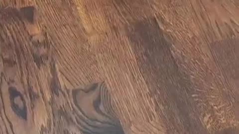How to fix scratches on the floor