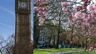 Beautiful Britain in spring