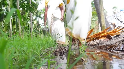 ஆல் குழியில் முழு ஆட்டுக்கறி Full Goat Cooked In Underground _ Full Goat Cook In Village