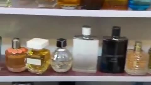 Best perfume collection