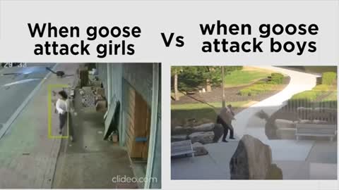Girls with animals vs boys with animals | girls vs boys
