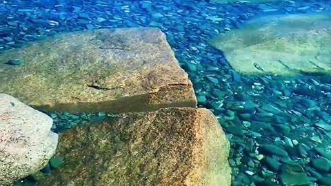 crystal clear water and stones