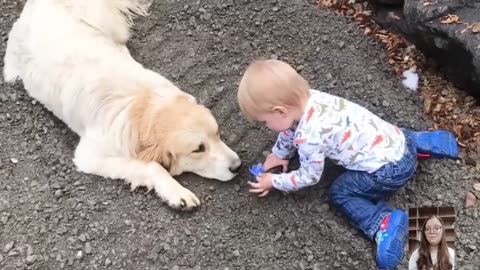 Adorable Babies Playing With Dogs Compilation - Funny Baby And Dog Videos || Just Laugh