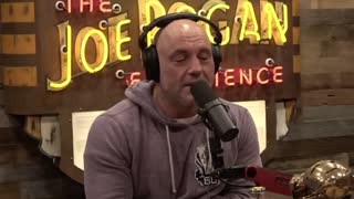 Joe Rogan: Reacts To UFC 281 Adesanya Handled His Loss Like A True Champion! & Pereira Is A MONSTER!