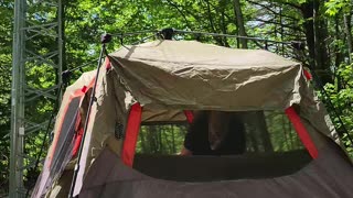 05-18-24 | Victoria Day Weekend, Setting Up Campsite | Part-7
