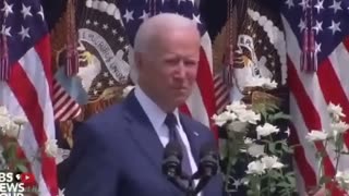 Peanut Hawk - THIS IS UNBELIEVABLE! JOE EMBARRASSED HIMSELF IN FRONT OF AMERICA