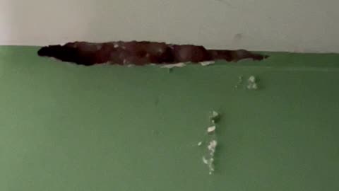 How to fix a hole in your ceiling dry wall?