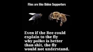 Bee vs Flies