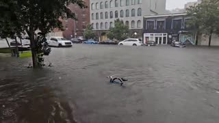 Heavy rains cause flooding in New York