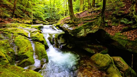 Calming Zen Music with Waterfall Sounds for Babies | Enhance Sleep and Boost Relaxation 🍼