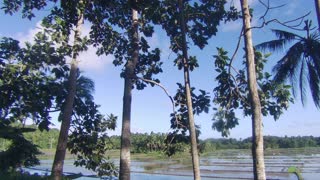 Philippine Countryside