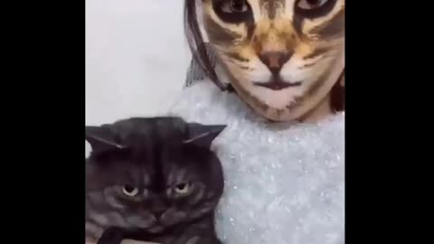 Funny cats that deserve million views