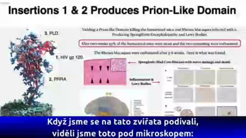 Richard M. Fleming - HIV Spike Protein in Sars Flu 2