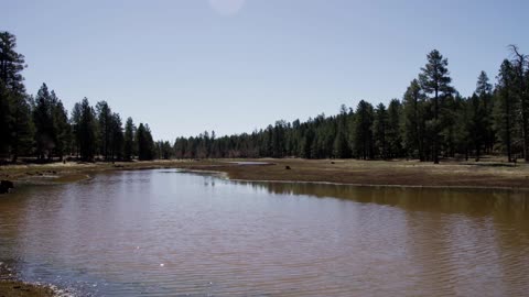 Horizontal Panning Shot Going Left Of A Little Lake In The Middle Of A Forest In 4K .