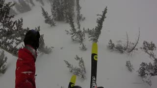 Skier Crashes into Tree After Jumping Off Cliff