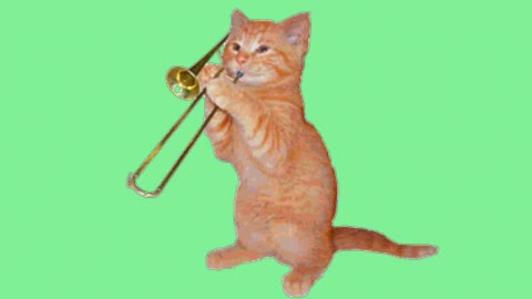 Cat plays Trumbone music instrument