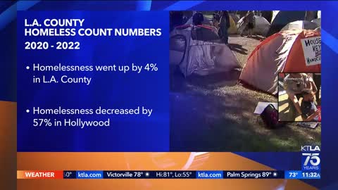 Unique task force aims to reduce homelessness in Hollywood with compassion