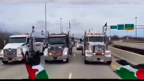 Solidarity with the Palestinian people in the style of Chicago truck drivers #shorts