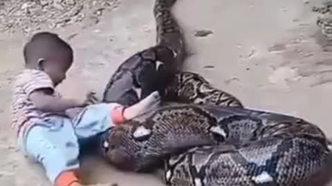 Little boy Riding on big snake Amaxing