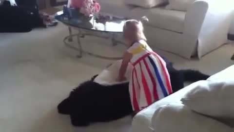 Toddler tries to put giant dog down for nap
