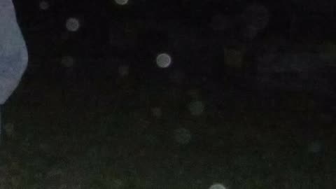 Orbs2