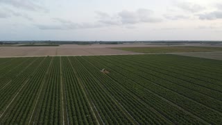 DJI Mavic Mini flight over fields during 2020 quarantine