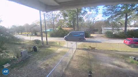 Delivery Driver Gives Package to the Dogs