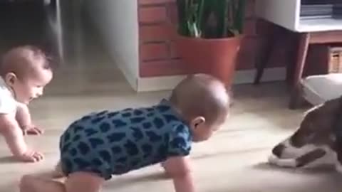 Baby Plays With The laughter of the cute lil babies