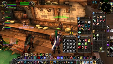 World of Warcraft Classic Hunter Leveling part 13