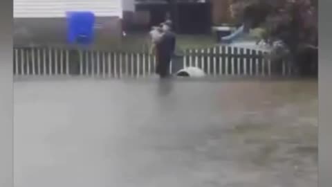 Police officer helping the dog