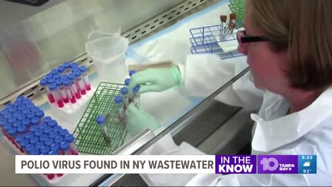 Polio detected in New York City's sewage, suggesting virus circulating