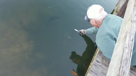 Man Catches Record-Breaking Bass Using Bare Hands