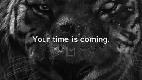 Your Time is Coming!!! Watch and Learn!