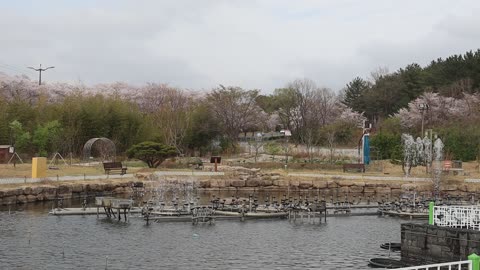 Musical fountain 1