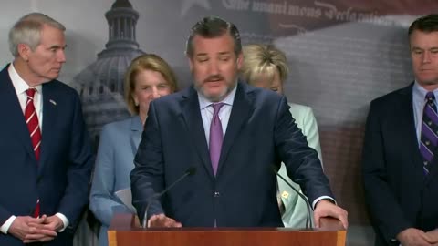 Ted Cruz: "Right now we've got a crisis at our southern border ... This chaos is the result of political decisions made by Joe Biden and Kamala Harris."