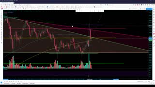 Market Analysis with BTC 1/29/2021