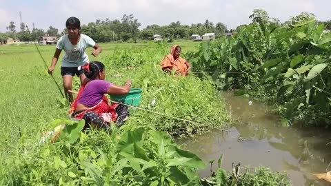 Fishing video || three lady catching big fish with hook in village mud canal water #video #fish