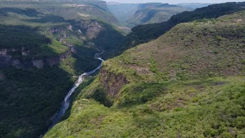 Fly over a huge canyon covered in vegetation