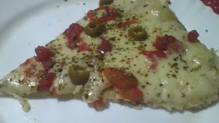 Uma saborosa fatia de pizza no prato, com queijo, tomate, orégano e azeitonas [Nature & Animals]