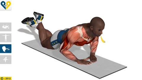 Push-up ( Knee position)