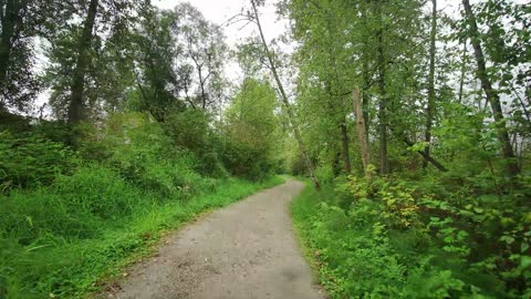 Burnaby Lake Trail, British Columbia