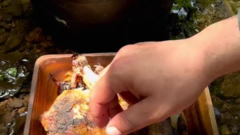 Camping Dutch Oven chicken cooking