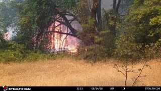 2018 Hirz Fire in Northern California on Trail Camera