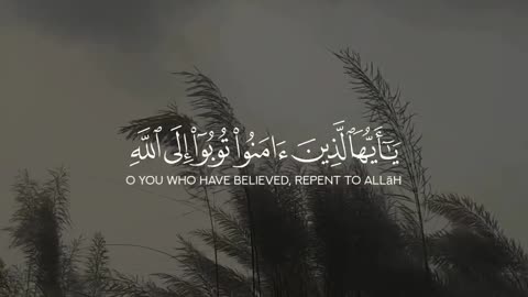 Quran #quran #quranrecitation #islam #ayat #englishsubtitle