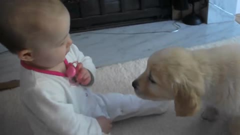 Baby and Puppy meet for the first time!!!