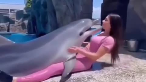 Cute Dolfin with beautiful girl playing