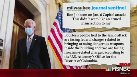 Sen. Ron Johnson Discusses The Capitol Riot