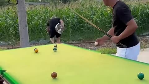 Funny billiard video milion views